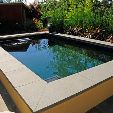 Swim Spa with cover and Fastlane