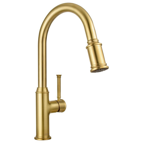 Elegant Kitchen Faucet, One Handle & 2 Mode Pull Down Sprayer, Brushed Gold