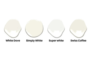 White Paint Guide