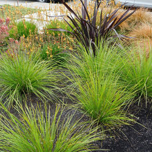 Landscape Ideas