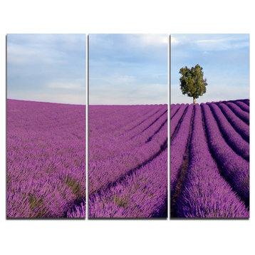 "Lavender Field With Solitary Tree" Photo Wall Art, 3 Panels, 36"x28"