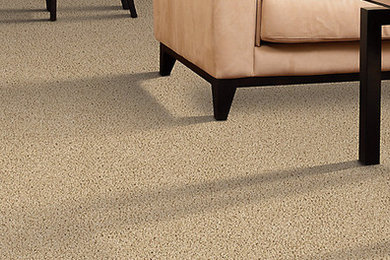 Inspiration for a timeless enclosed carpeted living room remodel in Salt Lake City with no fireplace and no tv
