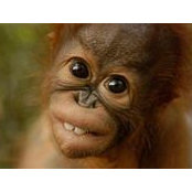 Mikhail Hansen's photo