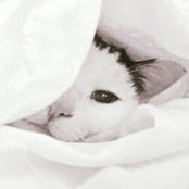 Gail Williams's photo