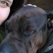 Jessica Dutson's photo