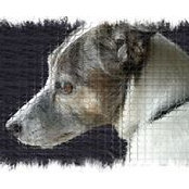 Jane Volk's photo