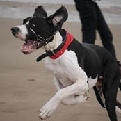 Debbie Davison's photo
