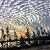 Minerva Giacomo's photo