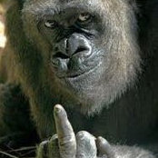 Paul Feld's photo