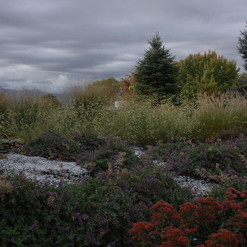 Above the Capitol Traditional Style Water Wise Yard
