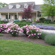 Front Landscaping