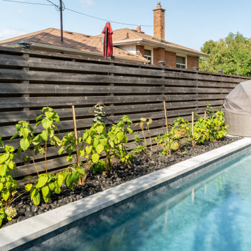 Small Backyard Pool