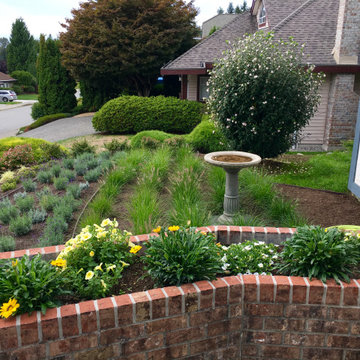 View of the birdbath set in amongst the tallest grasses