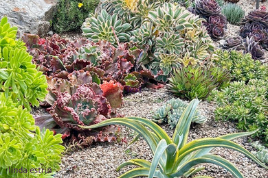 This is an example of an eclectic drought-tolerant backyard decomposed granite landscaping in Los Angeles.