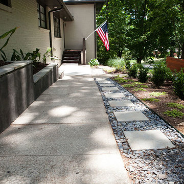 Modern and dog-friendly landscape