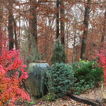Woodland garden entrance