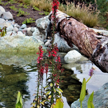 Bow, Wa project
