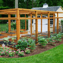 duck house