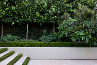 シドニーにあるトラディショナルスタイルのおしゃれな庭の写真