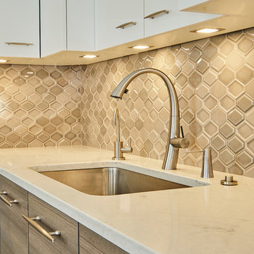 Brookline Condominium Kitchen