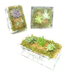Picture frames - Products