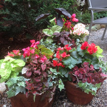 Planters