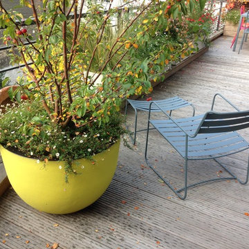 Terrasse en Robinier ( Faux Acacias)
