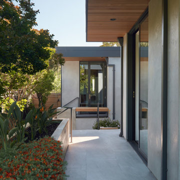 C-Through House