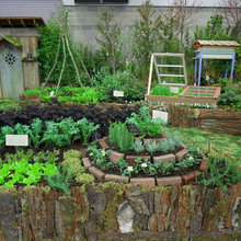 garden/yard