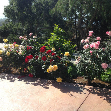 Landscape Maintenance