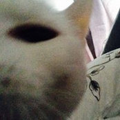 Megan Twibell's photo