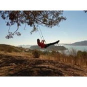 Katrin Schwings's photo