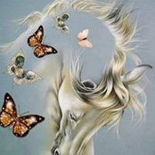 Carole Hignite's photo