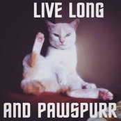 Vanessa Starrdust's photo