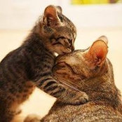 Rebecca Bentham's photo