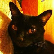 Berta Segura's photo