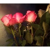 Rosalind Staples's photo
