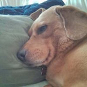 Lynn Ziegler's photo