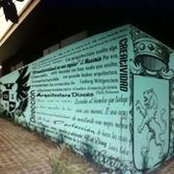 David Alejandro's photo