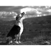 Kristina C Clo's photo