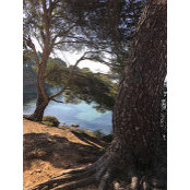 Foto de Mariam
