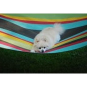 Adelle Decker-Pavlik's photo
