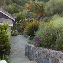 Hillside gardens