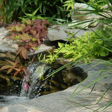 Pollinator Garden