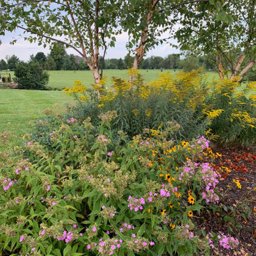 Native Plant Landscaping, Hardscaping, and Bioswales