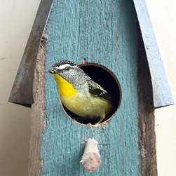 Recycled timber & corrugated iron birdhouses by Boodle Concepts. - Accessories and Decor