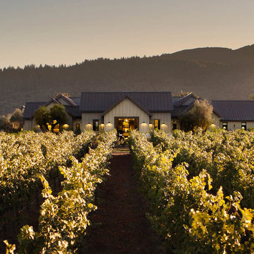 Napa Valley Vineyard Estate