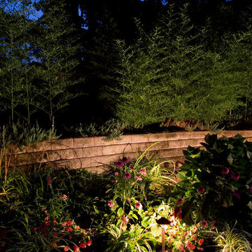 Backyard Lighting St Louis Style!