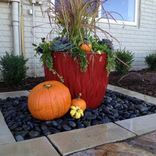 Fall Decorating