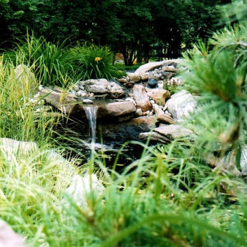 Ponds & Water features